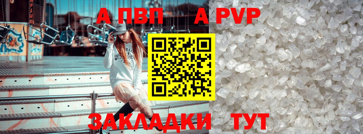 Alfa_PVP СК КРИС Вологда
