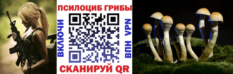 Псилоцибиновые грибы ЛСД Вологда