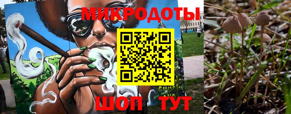 Вологда  Галлюциногенные грибы мухоморы  Вход с VPN 