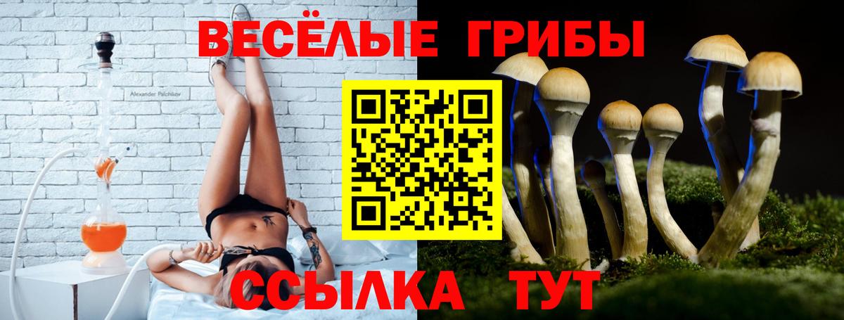 Псилоцибиновые грибы ЛСД Вологда